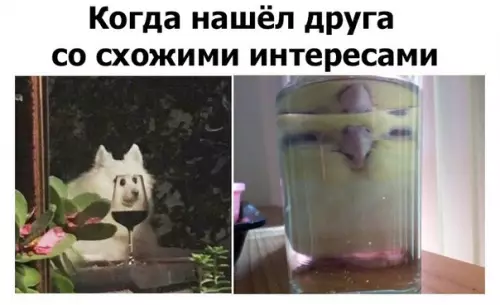 Смешная картинка №281626