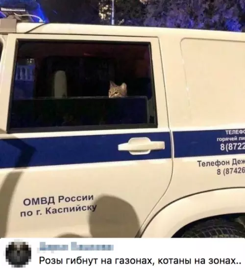 Смешная картинка №421575