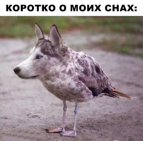 Смешная картинка №294227