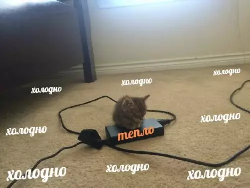 Смешная картинка №684396