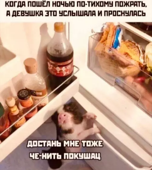 Смешная картинка №681035