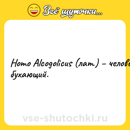Шутка: Homo Alcogolicus (лат.) – человек бухающий.