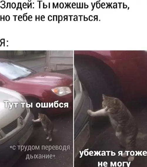 Смешная картинка №537174