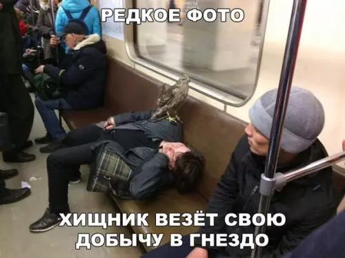 Смешная картинка №203685