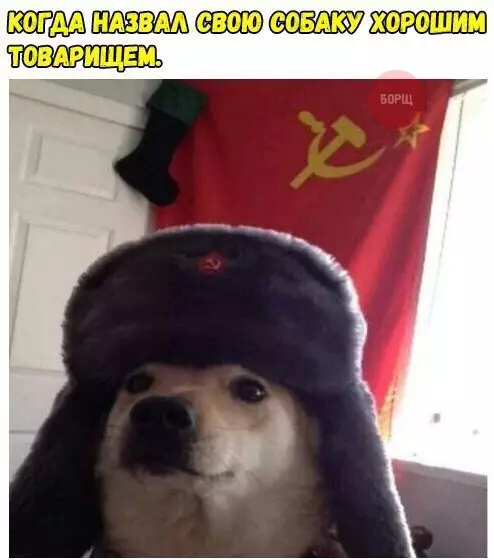 Смешная картинка №243948