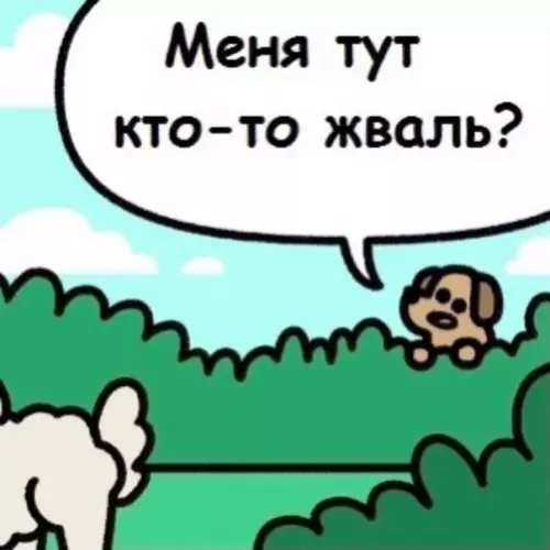 продолжение Смешная картинка №572358 Совпадение? Не думаю