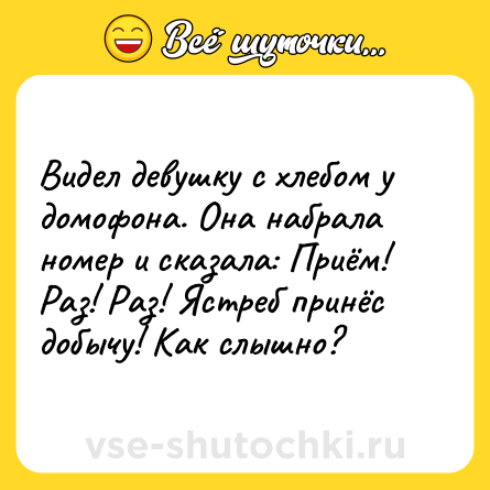 Шутка: Видел девушку с хлебом у домофона. Она набрала номер и сказала: Приём! Раз! Раз! Ястреб принёс добычу! Как слышно?
