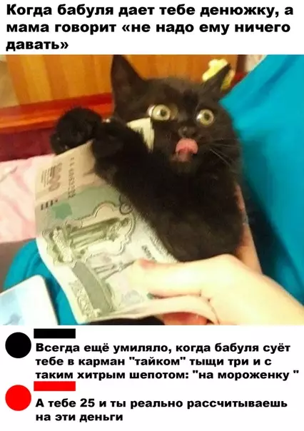 Смешная картинка №499204 Очень жизненная ситуация.