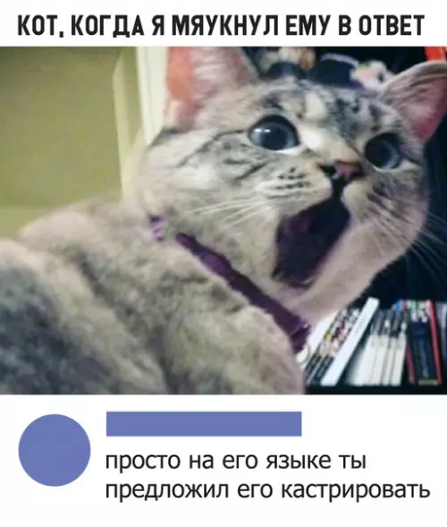 Смешная картинка №309662