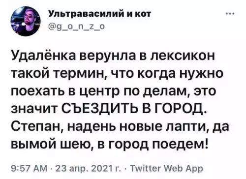 Смешная картинка №569536 Об удалёнке.