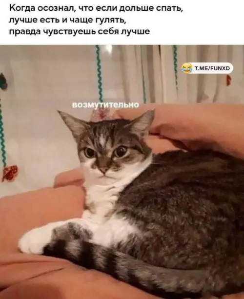Смешная картинка №746448