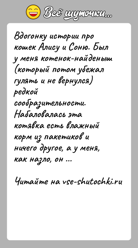 История: Вдогонку истории про кошек Алису и Соню. Был у меня котенок-найденыш (который потом убежал гулять и не вернулся) редкой сообразительности.