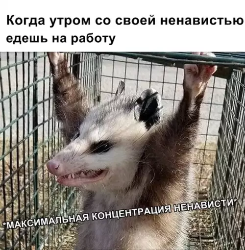 Смешная картинка №343411
