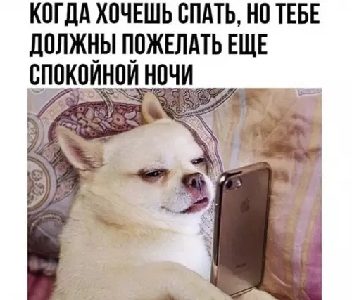 Смешная картинка №488899