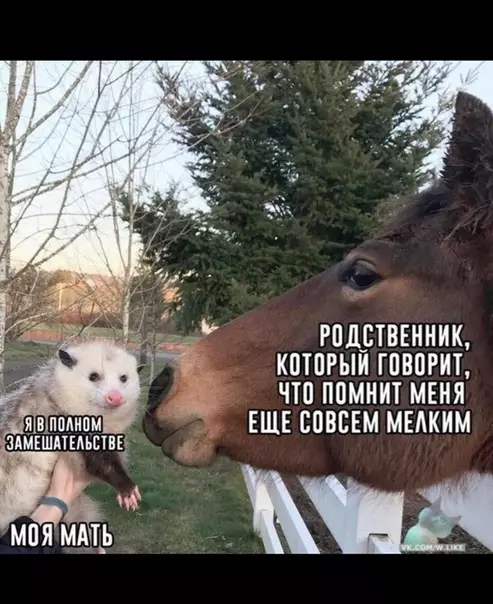 Смешная картинка №338188