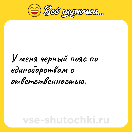 Шутка: У меня черный пояс по единоборствам с ответственностью.