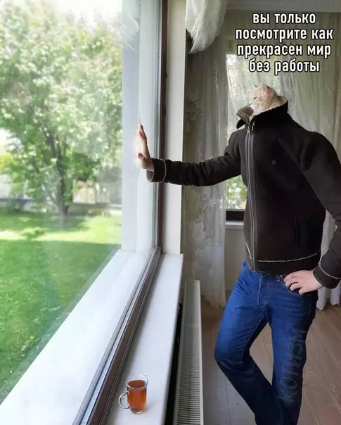 Смешная картинка №586759 Это я не сдержался, и превратился в кота