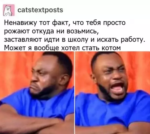 Смешная картинка №393025