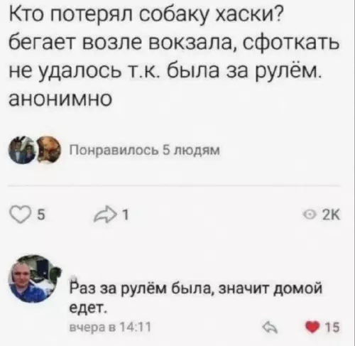 Хаски за рулем? 😂🦮 - Кто потерял собаку хаски? бегает возле вокзала, сфоткать не удалось