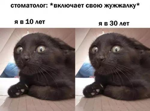 Смешная картинка №689381 стоматологи