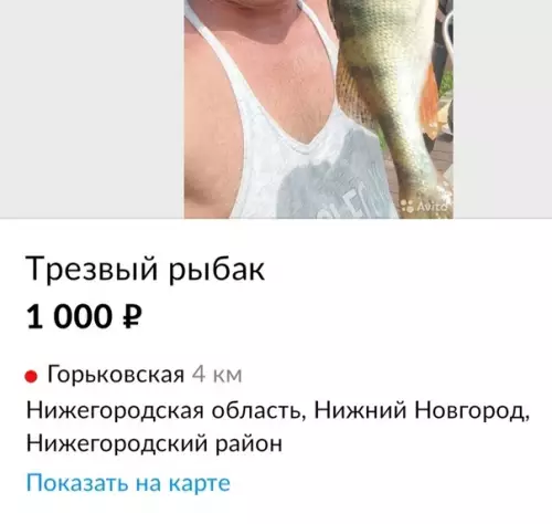 Смешная картинка №584149