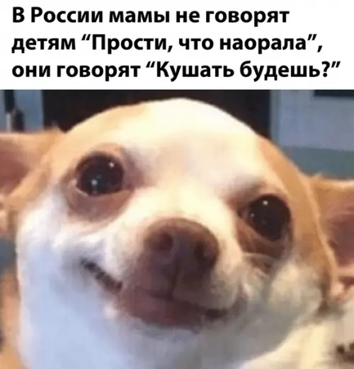 Смешная картинка №515411