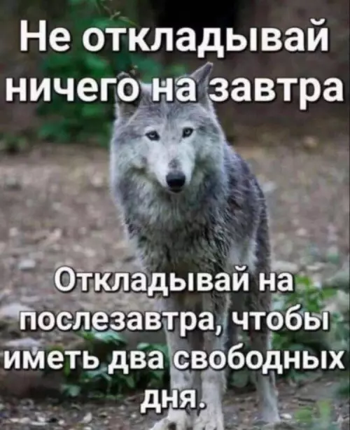 Смешная картинка №777636