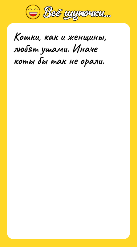 Кошки, как и женщины, любят ушами. Иначе коты бы так