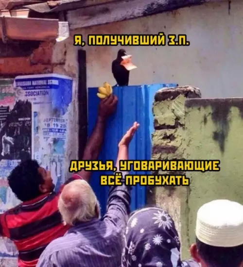 Смешная картинка №667072