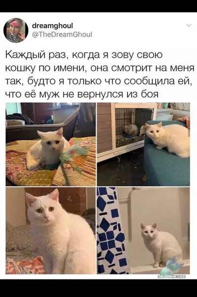 Смешная картинка №360471