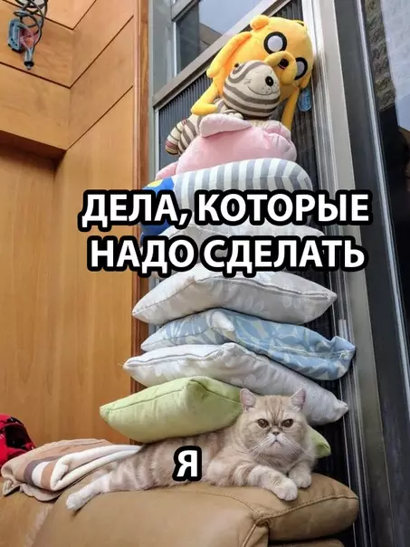 Смешная картинка №299113