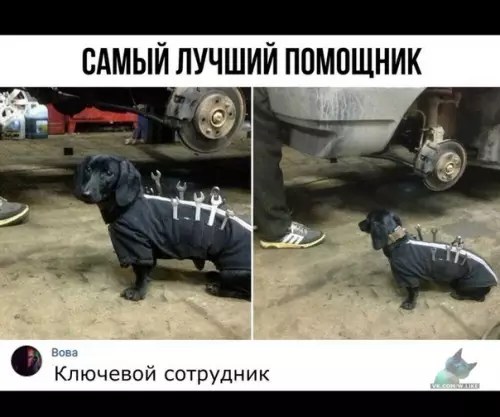 Смешная картинка №379417