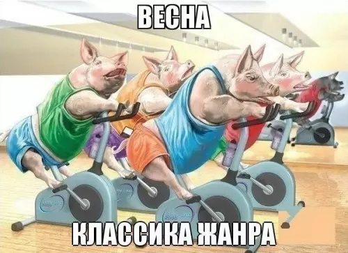 Смешная картинка №476419