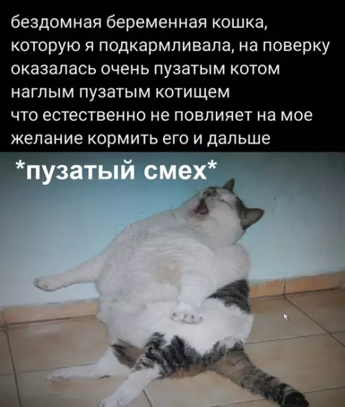 Смешная картинка №778340