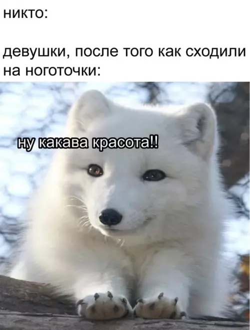Смешная картинка №626196