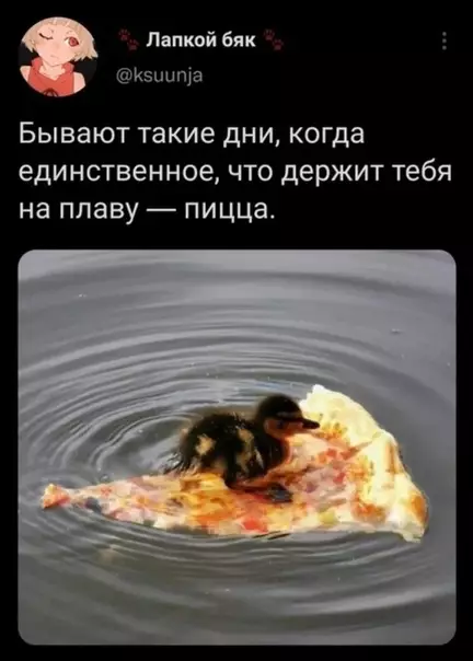 Смешная картинка №592905 Cвятaя cпacитeльницa