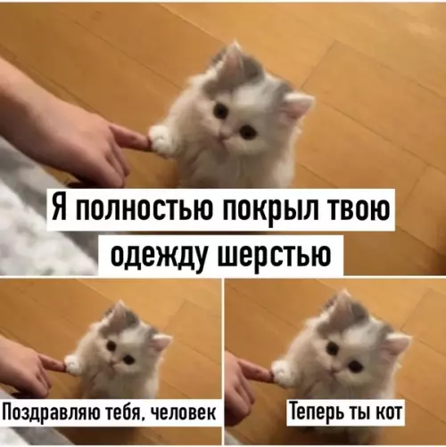 Смешная картинка №513409
