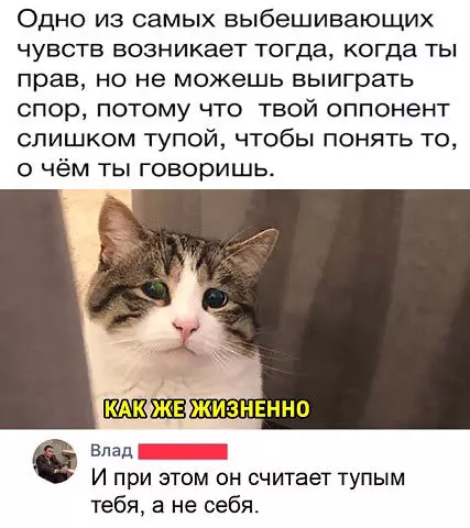 Смешная картинка №377629