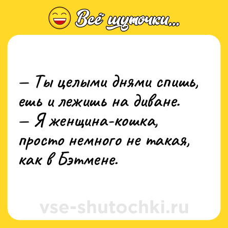 Шутка: — Ты целыми днями спишь, ешь и лежишь на диване.<br>— Я женщина-кошка, просто немного не такая, как в Бэтмене.