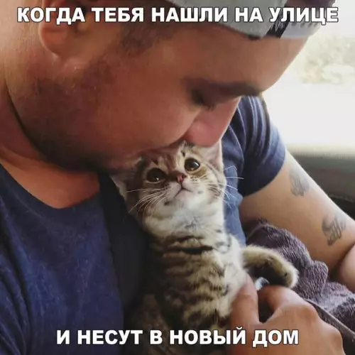 Смешная картинка №226890