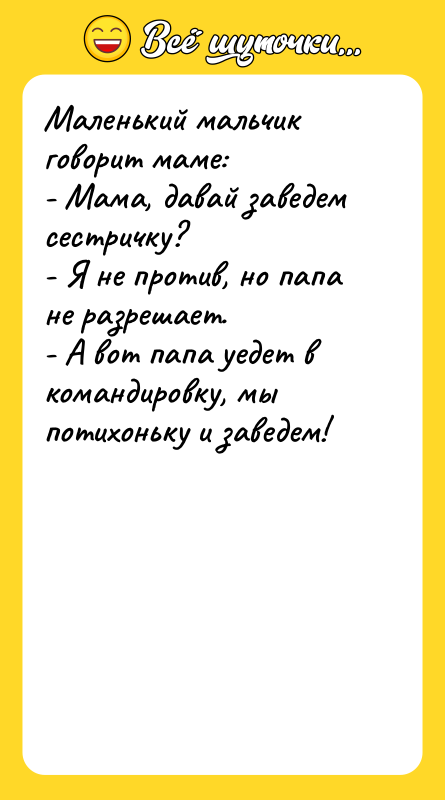 Маленький мальчик говорит маме:  - Мама, давай заведем сестричку?