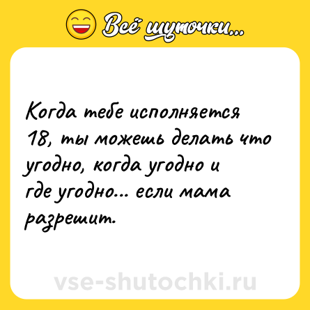 Шутка: Когда тебе исполняется 18, ты можешь делать что угодно, когда угодно и где угодно... если мама разрешит.