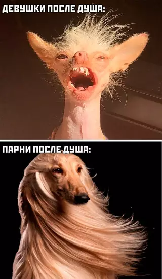 Смешная картинка №652043