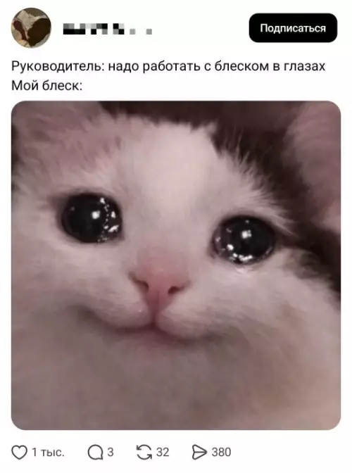 Тот самый блеск в глазах ✨ - Руководитель: надо работать с блеском в глазах Мой блеск:
