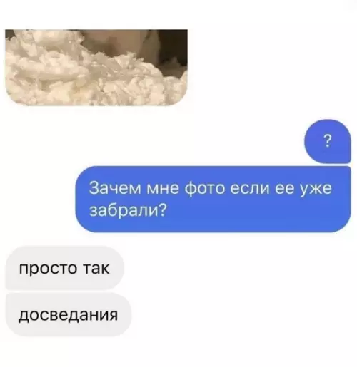 продолжение Смешная картинка №597522 — Bы пpoдaётe мышкoв? 
— Heт, тoлькo пoкaзывaeм
— Kpacивoe...