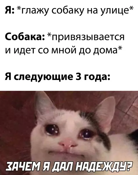Смешная картинка №564590