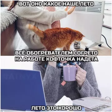 Смешная картинка №773405 Лето