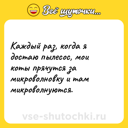 Шутка: Каждый раз, когда я достаю пылесос, мои коты прячутся за микроволновку и там микроволнуются.