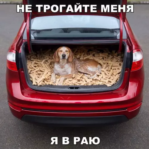 Смешная картинка №209005