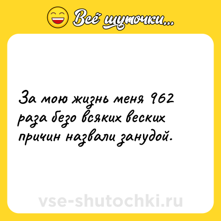 Шутка: За мою жизнь меня 962 раза безо всяких веских причин назвали занудой.